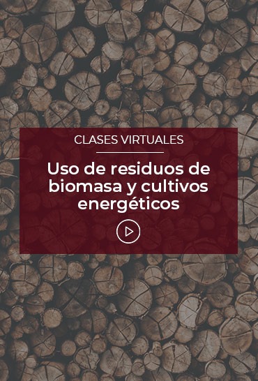 Uso-de-residuos-de-biomasa-y-cultivos-energeticos